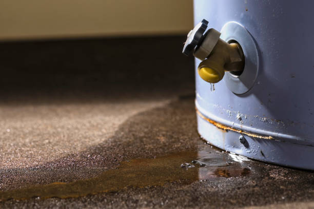 Best Water damage restoration near me  in Princeton, MO