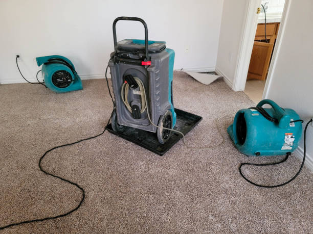 Local water damage restoration in MO