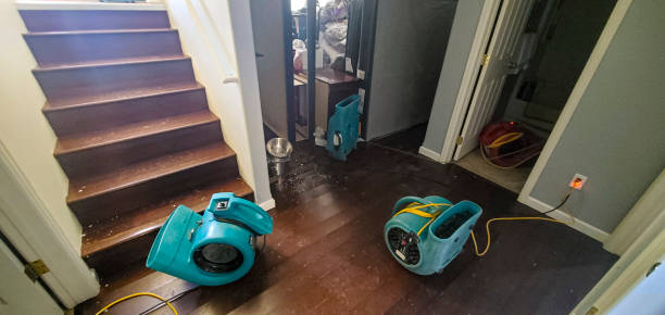 Best Flooded house restoration  in Princeton, MO