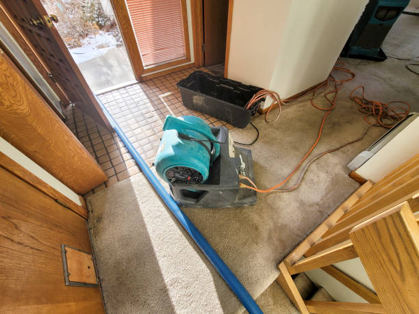 Best Water damage cleanup near me  in Princeton, MO