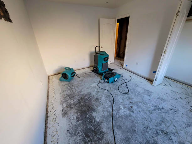 Best Water damage contractors near me  in Princeton, MO