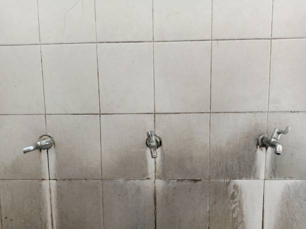 Best Water damage restoration services  in Princeton, MO