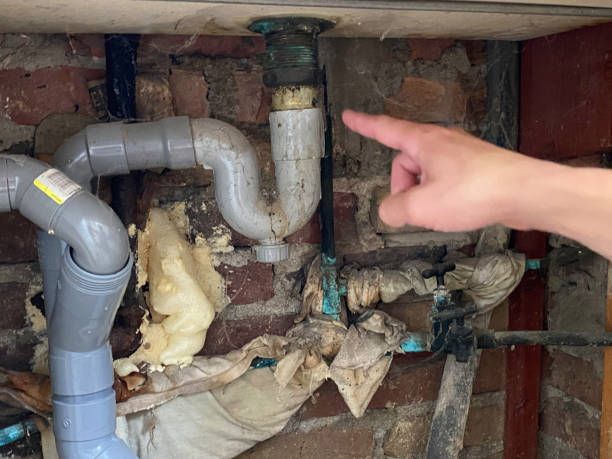 Best Mold removal after water damage  in Princeton, MO