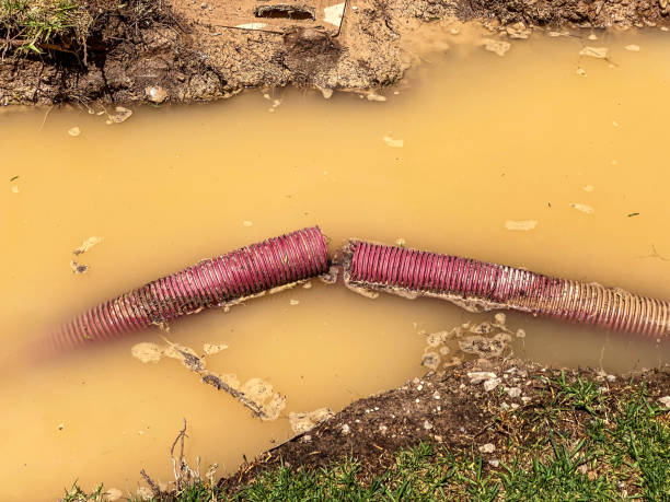 Best Water damage restoration process  in Princeton, MO
