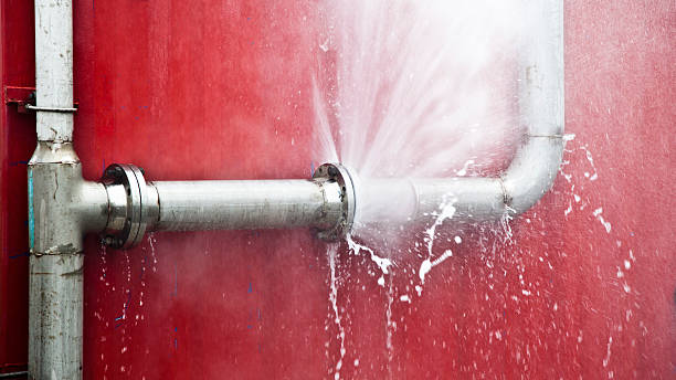 Best Flood damage cleanup  in Princeton, MO