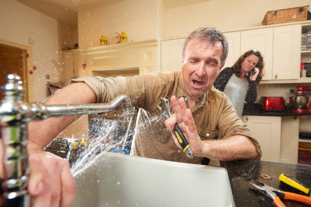 Best 24/7 water damage repair  in Princeton, MO